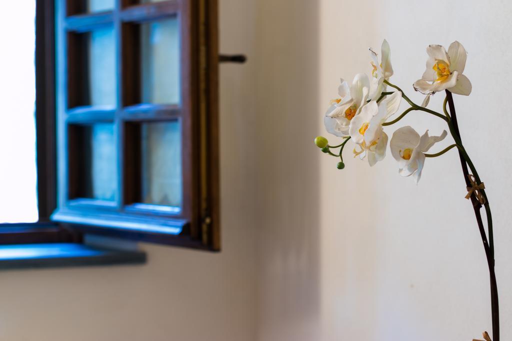 Casa Marta Villa Pescaglia Eksteriør billede