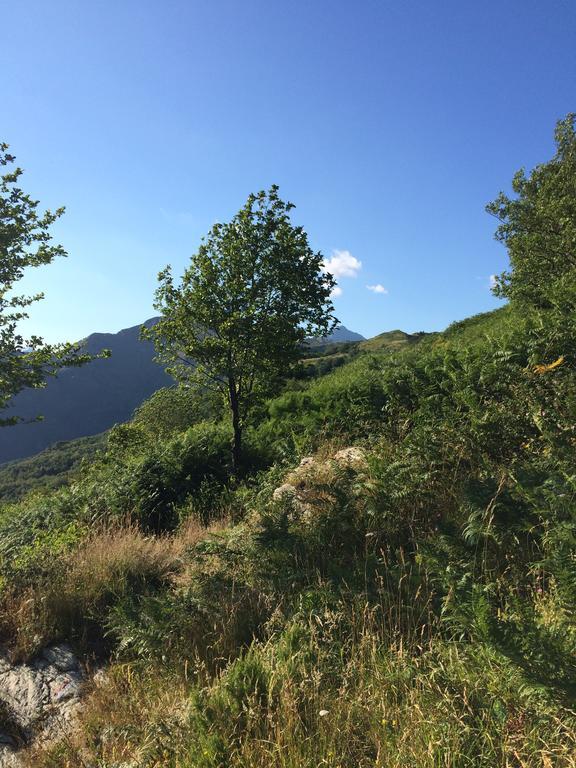 Casa Marta Villa Pescaglia Eksteriør billede